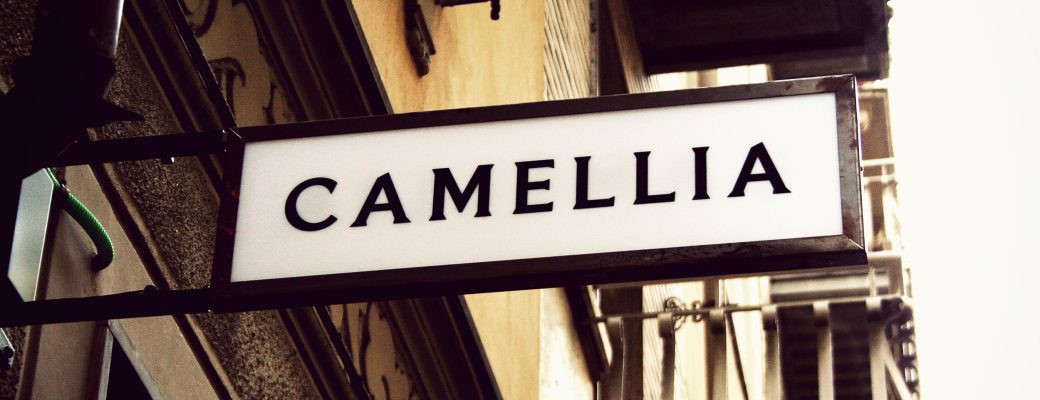 Camellia - Il tempo del tè
