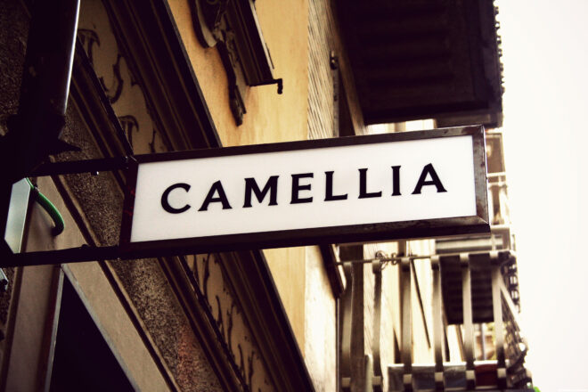 Camellia - Il tempo del tè