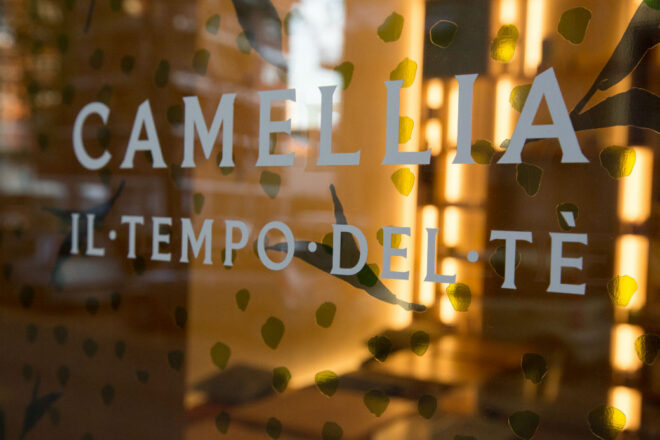 Camellia Il tempo del tè