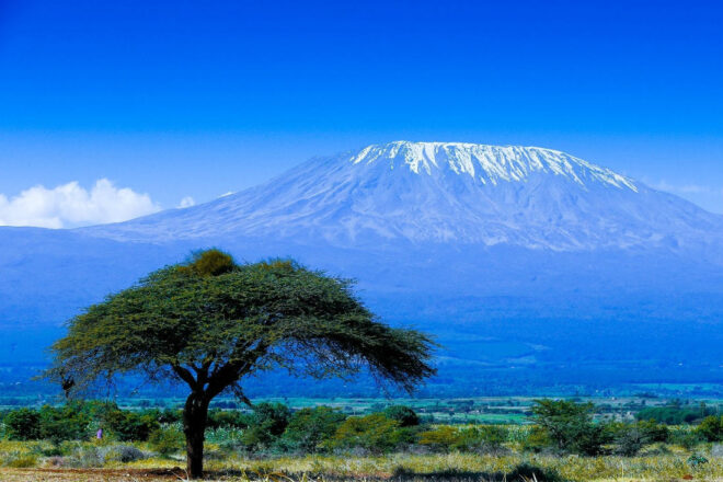 Kilimangiaro