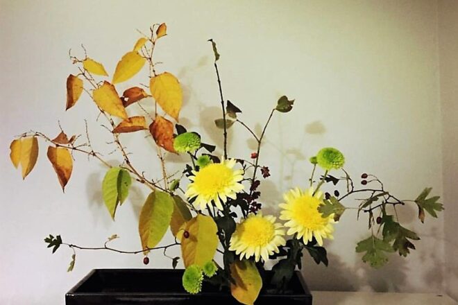 Da Camellia, più vicini al mondo spirituale del Giappone: Moribana Autunnale