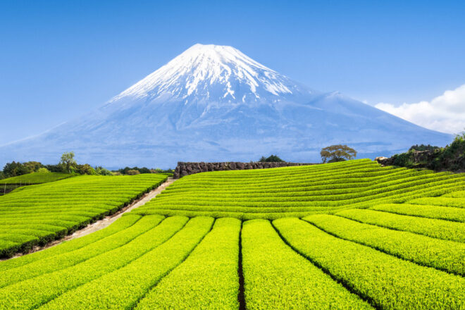 Monte Fuji