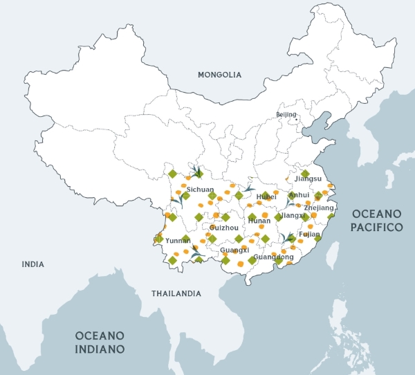 Cartina della Cina
