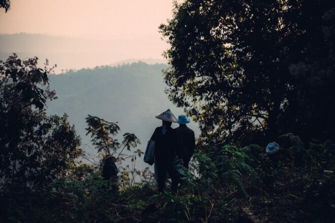 Eastern Leaves, produttori di tè dalla foresta