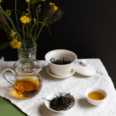 Gulma Winter Frost Golden Tips