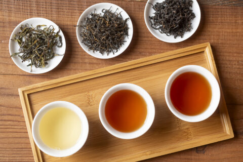 Nilgiri Winter Foster White, Nilgiri Winter Frost, Gulma Winter Frost Golden Tips