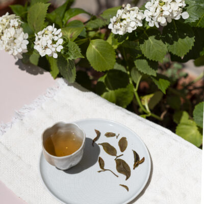 Una tazzina di tè appoggiata su un piatto con alcune foglie di tè bagnate. Sullo sfondo un'ortensia bianca.