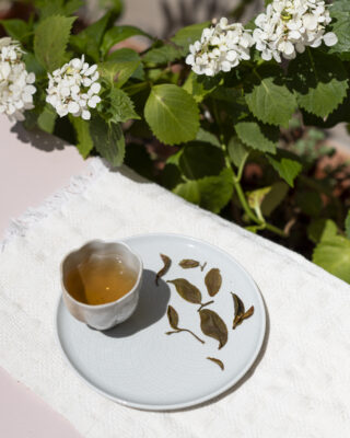 Una tazza di tè, foglie bagnate e sullo sfondo un'ortensia bianca